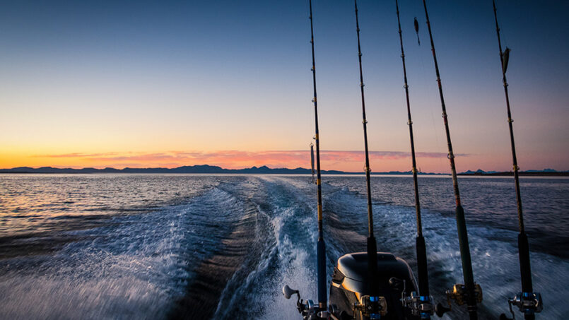 Hooked on Paradise: Fishing Adventures in Los Barriles, Mexico